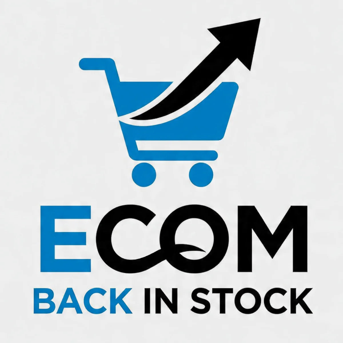 Ecom Back in Stock — The Shopify App to Recover Lost Sales
